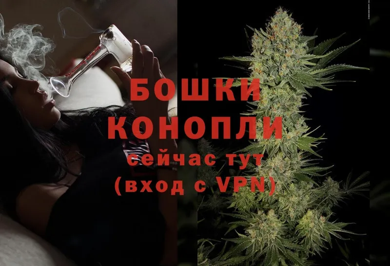 Бошки марихуана Bruce Banner  Владикавказ 